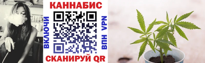 как найти закладки  Нерчинск  МАРИХУАНА Ganja 